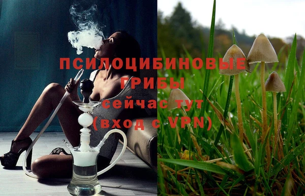 таблы Алзамай