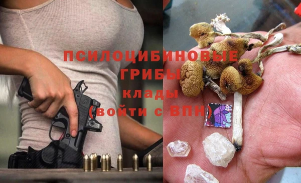 крисы Алексеевка