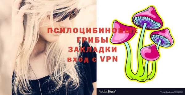 крисы Алексеевка