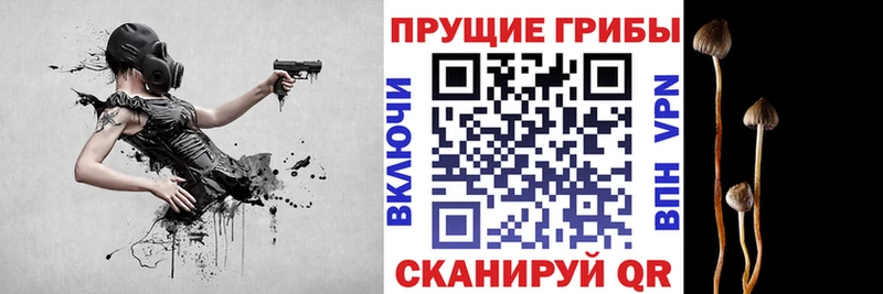 Псилоцибиновые грибы ЛСД Курганинск